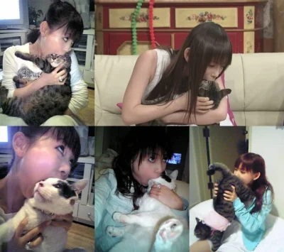 Rimfire - To taka wyspa azyl dla kotów w Japonii. Mają one wiele powodów żeby chować ...