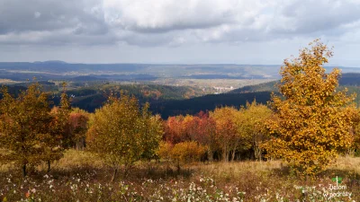 Z.....u - Cześć!
Dzisiaj archiwalna, bo ubiegłoroczna wycieczka. Wtedy to wpadłem na...