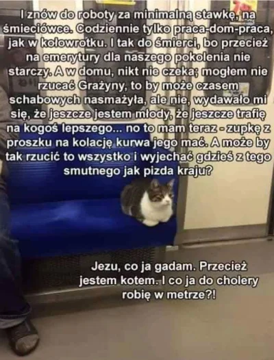 saint - Śmiechłem w metrze jak czytałem (⌐ ͡■ ͜ʖ ͡■)

#zwierzeta #zwierzaczki #kotel ...