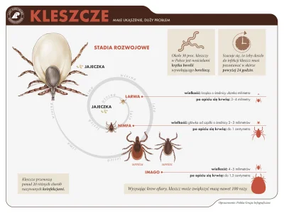 pedro9990 - @pedro9990: Ciekawe za co dostaję minusy ? Za to, że w moim mieście są ta...