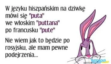 mieszalniapasz - #heheszki #bugs #puta