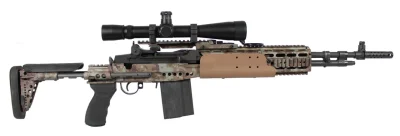 Rogue - #bron #gunboners #projektdedal

M1A w łożu od Sage, kal. 7,62x51 / .308 Win.
...