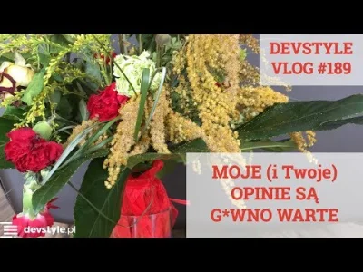 maniserowicz - MOJE (i Twoje) opinie są G*WNO WARTE [ #devstyle #vlog #189 ]