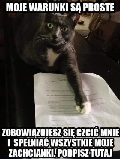 Brakus - #heheszki
#humorobrazkowy
#koty
