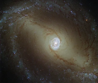 d.....4 - NGC 1433

#kosmos #astronomia #conocjednagalaktyka #dobranoc