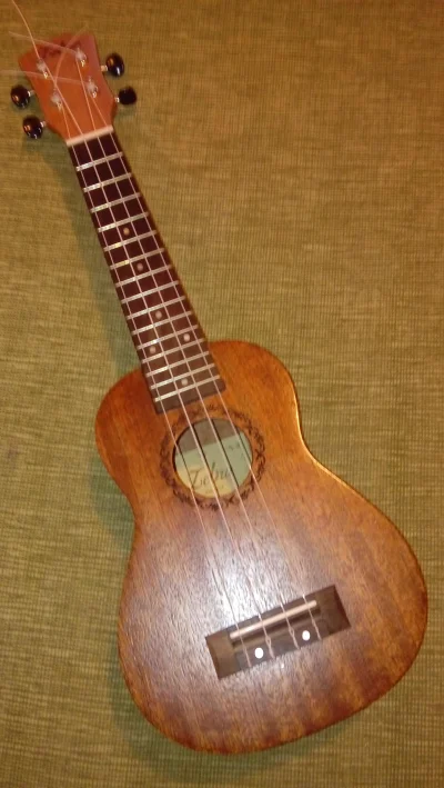 Tawang - @Theia: Też mam podobne ukulele z aliexpress za 100zł. Tak samo jak u Ciebie...