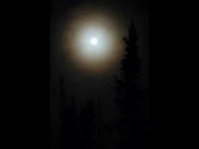 PiewcaPozogi - September Moon - idealne na noc

#muzyka #synthpop #piewcapozogisluc...