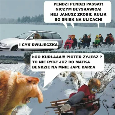 atrax15 - #polak #heheszki #nosaczsundajski #zimowezabawy #volkswagen