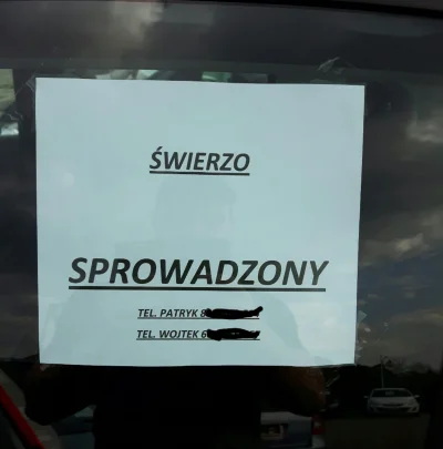 Wunszz - Dzisiaj jezdzilem po komisach w poszukiwaniu samochodu i trafilem na perelke...