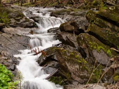 Fafrocel - #gory #fotografia #fotyfafrocla #bieszczady
Dla ochłody największy bieszc...