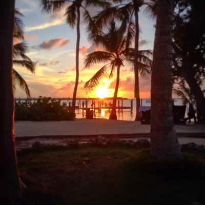 loczyn - Pozdrawiam cieplutko nocną z #floryda #florida #keylargo #keywest #miami