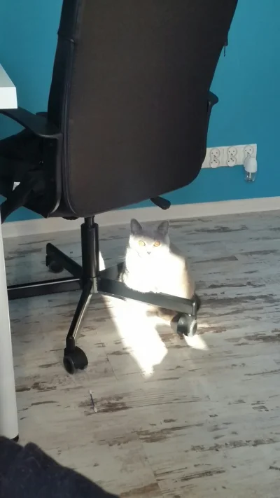 n.....t - Jeżeli gracie w gry to już wiecie.
#wacik ma dla was questa.
SPOILER

SPOIL...