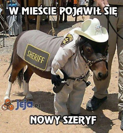 paszczurek - #!$%@? wszędzie te blokujące szeryfy...