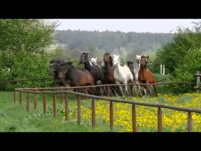 Jeden-z-dziesieciu - Na naszych oczach kończy się piękna, polska historia.
#coolstor...