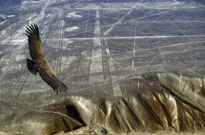 quiksilver - Nazca z lotu ptaka

#ciekawostki #nazca #artefaktnadzis