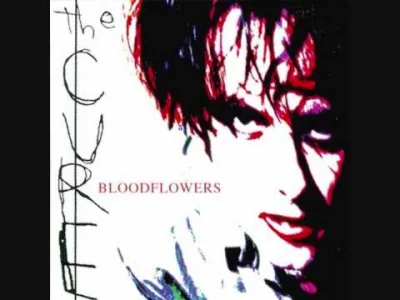 Mortadelajestkluczem - Mój ulubiony kawałek z "Bloodflowers"
#thecure #rock #nadmuzy...