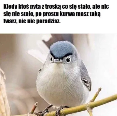 r0rka - Dzień dobry ( ͡° ʖ̯ ͡°) #heheszki