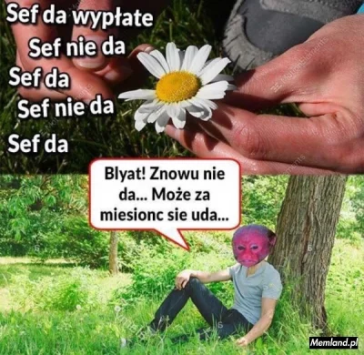 stworekpotworekpokaze_jezorek