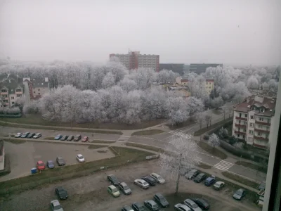 zenibydobrze - Tylko śniegu brakuje :(



#lublin