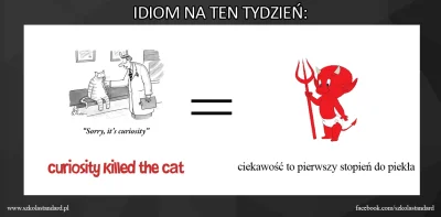 PalNick - #szkolastandard

- Where did you get all that money?
- Curiosity killed ...