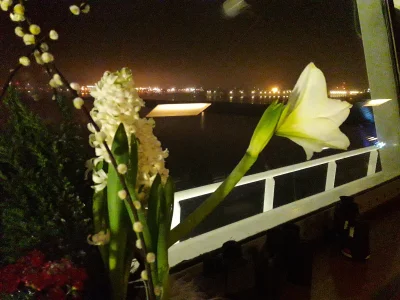 Samara__Morgan - @piv01: jak to mowia, ktoś musi nie spać by spać mógł ktoś. 

Nocn...