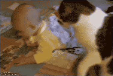 K.....2 - >Kurde zauważył, trzeba o-----ć jakiś szajz 
XD #heheszki #koty #byloaledo...