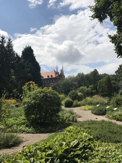 soosh071 - #wroclaw #fotografia #iphone 7 Plus
Ogród Botaniczny z Katedrą :)