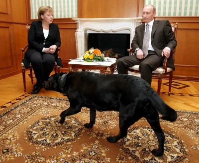 jagoslau - @nobrainer: 

Swoją drogą - Angela Merkel w młodości (1995r) też została...