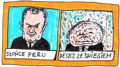 Goofas - #polityka #neuropa #humor #europa #tusk #kaczynski #bekazpisu