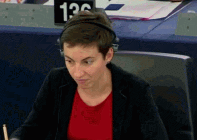Jeloneczek - Reakcja europarlamentu: