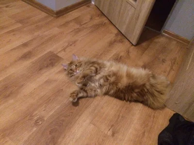 Babazkebaba - Dejcie mie mom horego kotła