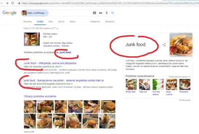 H.....H - "potężne burgery obfitości" Wrzucam w google zdjęcie z gorących i już wiem,...