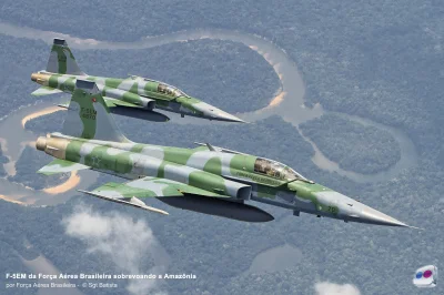 CanisLupusLupus - foto: Força Aérea Brasileira

#aircraftboners #f5