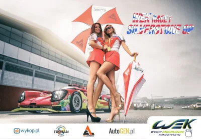 ACLeague - Witamy, oto kary za pierwszy wyścig sezonu WEK @ Silverstone GP
---------...