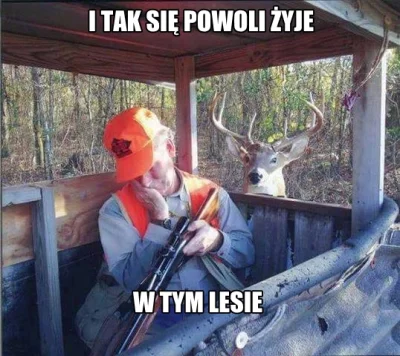 xionacz - ! #heheszki #humorobrazkowy #myslistwo #smiesznypiesek