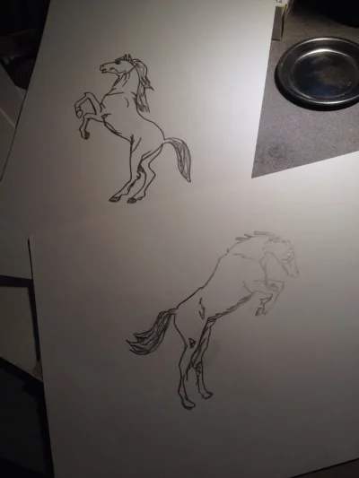 s.....d - Lol, ale ładne rzeczy kiedyś rysowałam #rysujzwykopem #konie #art #gownowpi...