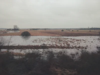 Dwadziescia_jeden - Późnozimowe mokradła Mazowsza to taka polska Luizjana, stanowiąca...