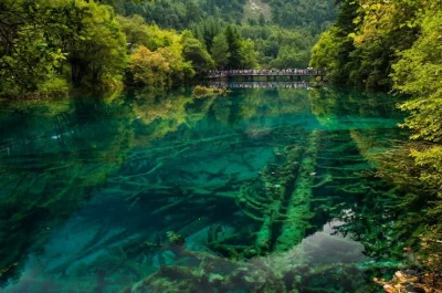 Inspirations - Park Narodowy w Chinach Jiuzhaigou i Huaugiong :) 
Fot.K.M.Paczek 

...