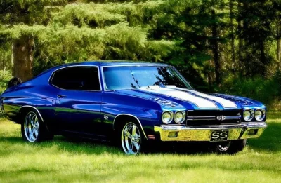 dzikiczytelnik - 1970 Chevelle SS
#motoryzacja #musclecarboners #carboners #muscleca...