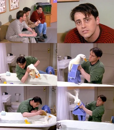 b.....a - Joey miał kaczkę pierwszy ( ͡° ͜ʖ ͡°)
