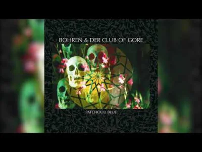 tomwolf - Bohren & der Club of Gore - Sollen es doch Alle wissen (Official Audio)
#m...