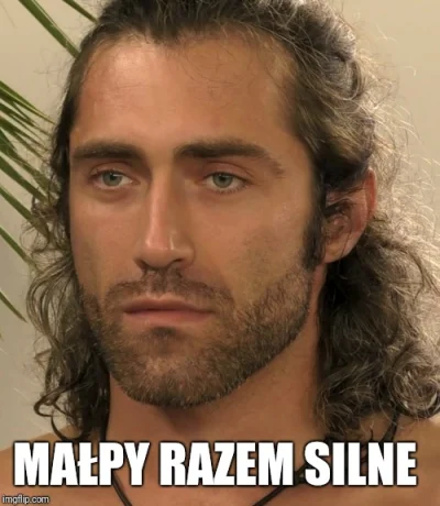 jaroty - Xd

#bigbrother