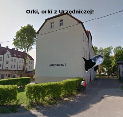 Userski95 - Orki z urzędniczej 
#danielmagical