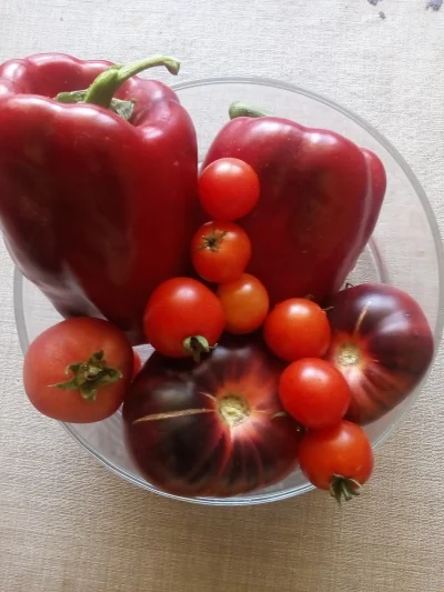 blogger - #ogrodnictwo #balkon

Pomidory i papryki z własnego mini ogródka na balko...