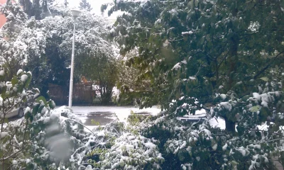 Kalafioor - W Sandomierzu też #śnieg sypie i trochę #pokazauto