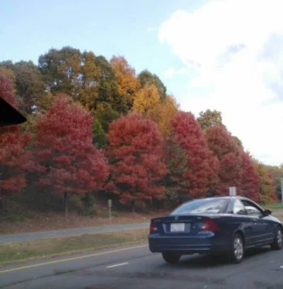 AnnaJ - @FERDOL: Tu gdzie mieszkam tez tak kolorowo w jesien (North Carolina)