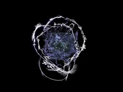 NietuzinkowyStefan - Max Cooper - Coils of Living Synthesis

#mirkoelektronika #muz...