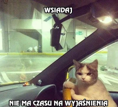BadzLepszy - #heheszki #humorobrazkowy #humor #koty