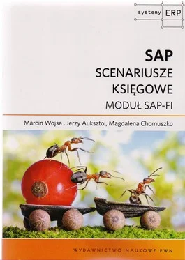 fledgeling - #sap #czytajzwykopem #bookmeter

2060 - 1 = 2059

SAP scenariusze księgo...