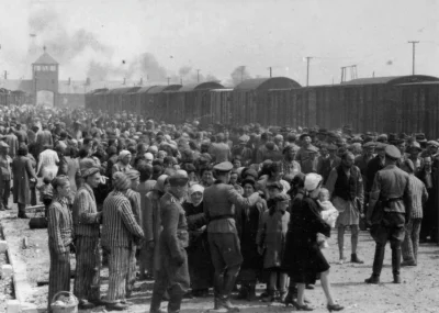 myrmekochoria - Przybycie nowych więźniów do obozu w Auschwitz-Birkenau, maj 1944 rok...
